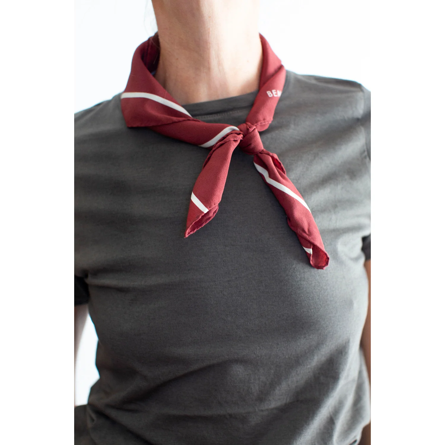 Lauren Manoogian Bias Baby Tee in Painted Barnwood - Image 4